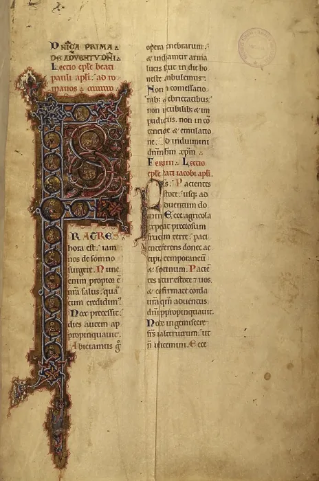 Framed Print : Illuminated Capital F. Evangeliario, ms. 10, f.1, 12th Century, miniature - Italy, Sicily, Messina, Seminary. Whole artwork view. Capital P decorated with vegetal patterns