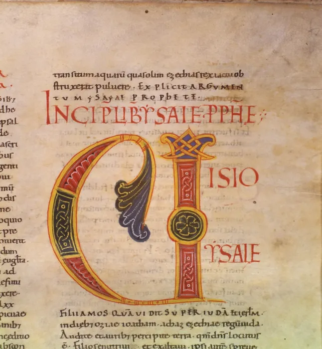 Framed Print : Illuminated Capital V, by Unknown Artist, 9th - 10th Century, manuscript - Italy, Abruzzo, L'Aquila, National Museum in Abruzzo. Detail Framed Print : Illuminated Capital V, by Unknown Artist, 9th - 10th Century, manuscript - Italy, Abruzzo, L'Aquila, National Museum in Abruzzo. Detail