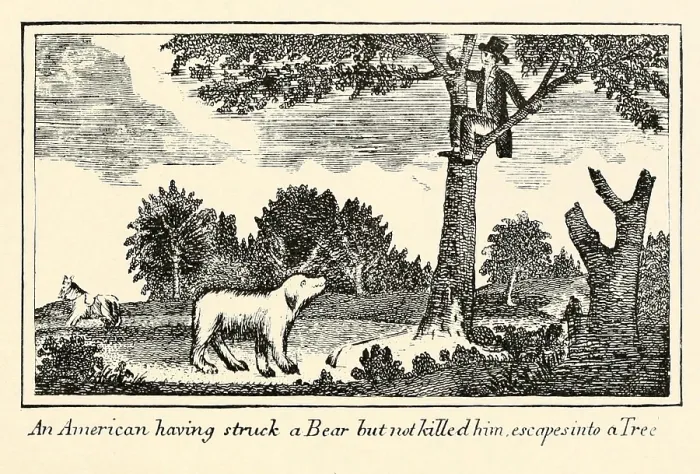 Framed Print : Illustration from Lewis and Clark's journal of the Corps of Discovery from 1803-6. American having struck a Bear but not killed him escapes into a tree