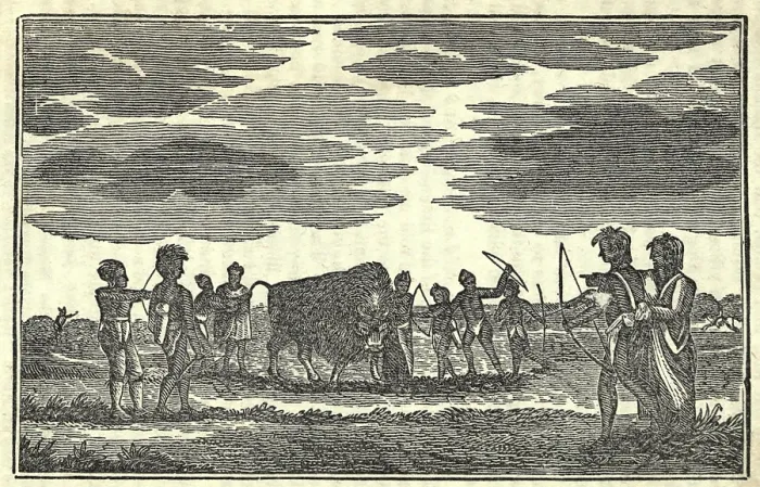 Framed Print : Illustration from Lewis and Clark's journal of the expedition from 1803-6. Native Americans and a Buffalo