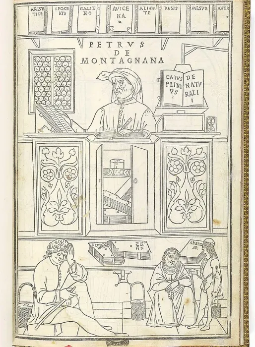 Framed Print : Illustration showing the breadth of medical knowledge in 15th century Italy