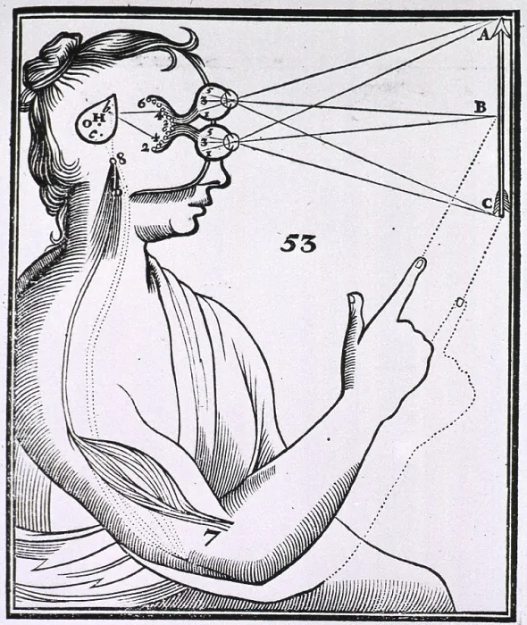 Framed Print : An illustration showing a theory of vision from Rene Descartes DE HOMINE (Treatise on Man) 1677