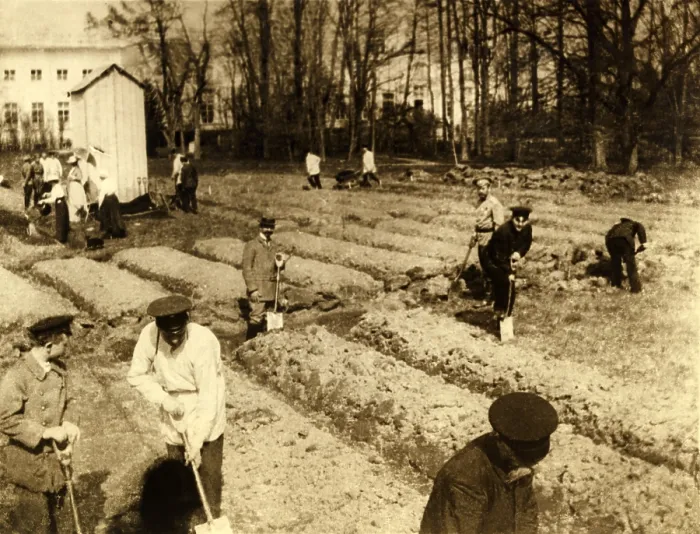 Framed Print : Imprisoned Russian Czar Nicholas II and family gardening at Tsarskoe-Selo. 1917. (BSLOC_2013_4_210)