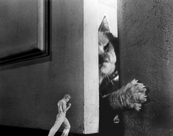 Framed Print : THE INCREDIBLE SHRINKING MAN, Grant Williams, 1957 Framed Print : THE INCREDIBLE SHRINKING MAN, Grant Williams, 1957