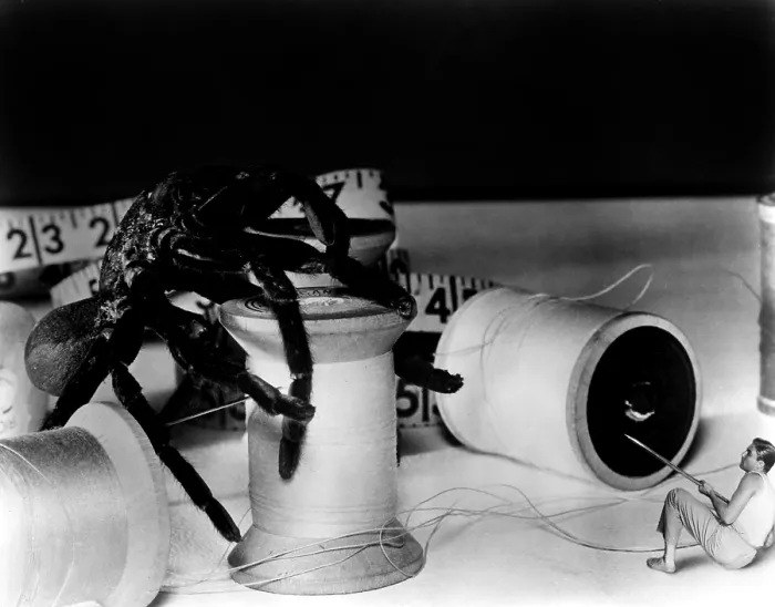 Framed Print : THE INCREDIBLE SHRINKING MAN, Grant Williams, 1957