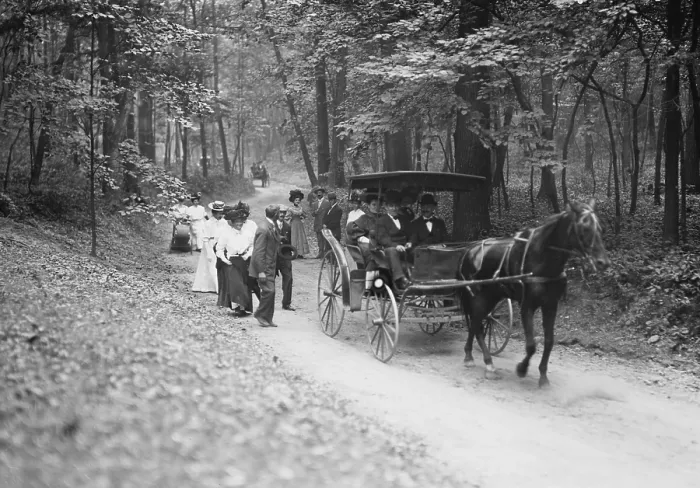 Framed Print : Invited guests on way to Roosevelt House, on foot and in carriage take the road to Sagamore Hill, the Oyster Bay home of Theodore Roosevelt in 1908 Framed Print : Invited guests on way to Roosevelt House, on foot and in carriage take the road to Sagamore Hill, the Oyster Bay home of Theodore Roosevelt in 1908