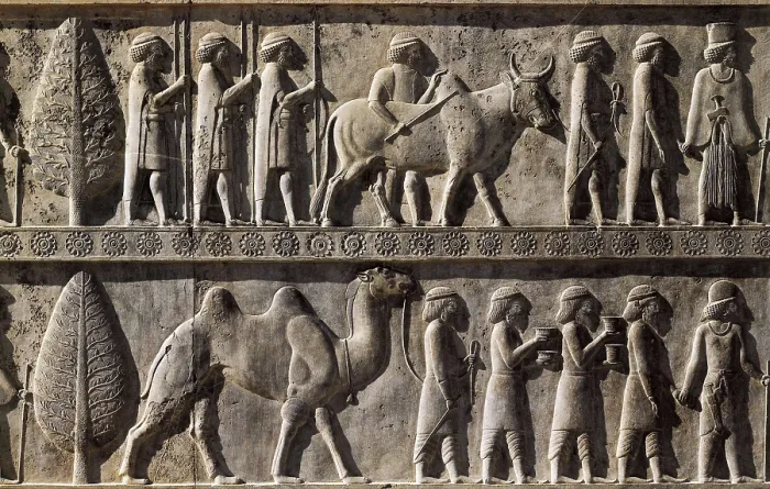 Framed Print : IRAN. Persepolis. Palace of Darius. Decoration from the east side of the stairs with an offeror entourage. Persian art. Achaemenid period. Relief on rock