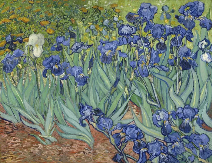 Framed Print : Irises, by Vincent van Gogh, 1889, Dutch Post-Impressionist painting, oil on canvas. Van Gogh painted this in the garden of the asylum in Saint-Remy, France in May 1889