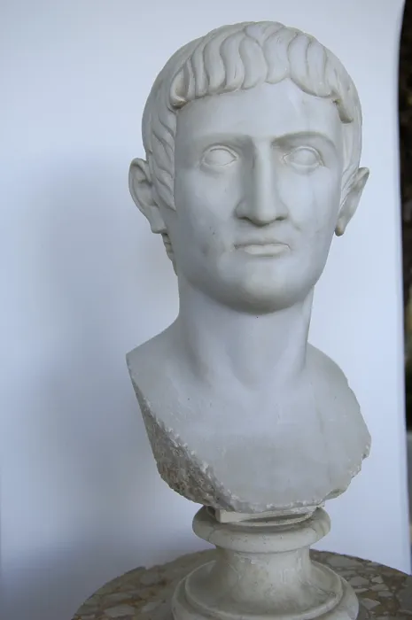 Framed Print : ITALY. Anacapri. Capri Island. Villa San Michele. Axel Munthe's former house. Bust of Tiberius. Sculpture on marble. AISA / Everett Collection**US SALES ONLY**