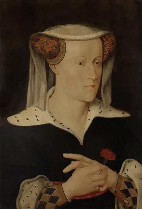 Framed Print : Jacoba of Bavaria, Countess of Holland & Zeeland 1435, by Pieter Willem Sebes, 1879. Dutch painting, oil on panel. 19th century copy of the original
