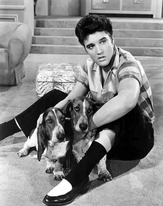 Framed Print : JAILHOUSE ROCK, Elvis Presley, 1957