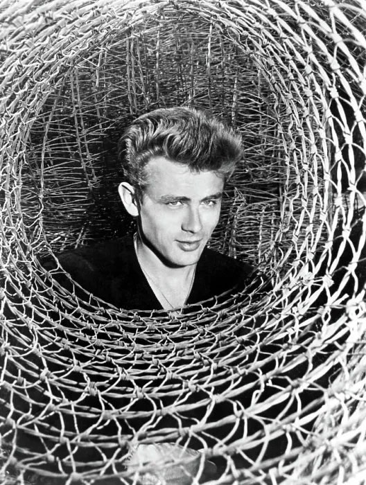 Framed Print : JAMES DEAN peeking through a spiral of chicken wire, c. mid-1950s