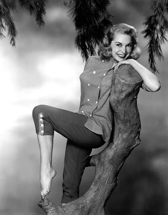 Framed Print : Janet Leigh, 1954 Framed Print : Janet Leigh, 1954