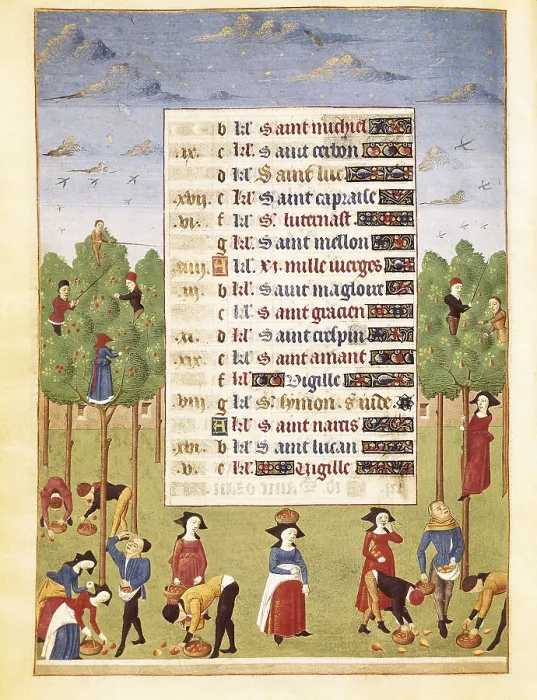 Framed Print : JEAN ROLIN, Maestro de(15th c.); ADELAIDA DE SABOYA, Maestro de(15th c.). The Hours of Adelaide of Savoy, Duchess of Burgundy. 1460-1465. October. Fruit harvest. Gothic art