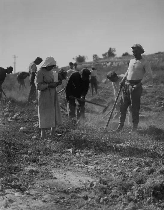 Framed Print : Jewish immigrants cultivating the ground as they establish a settlement Framed Print : Jewish immigrants cultivating the ground as they establish a settlement