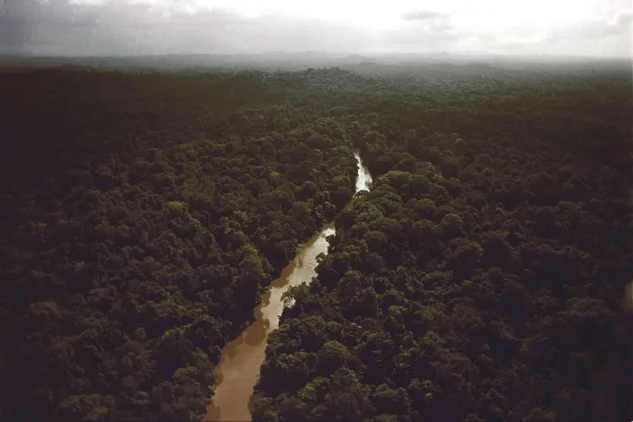 Framed Print : Kaituma River flowing through the rain forest near the People's Temple Agricultural Project, in Jonestown, Guyana. 1978
