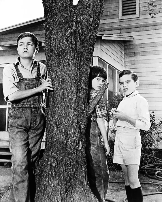 Framed Print : TO KILL A MOCKINGBIRD, Philip Alfrod, Mary Badham, John Megna, 1962 Framed Print : TO KILL A MOCKINGBIRD, Philip Alfrod, Mary Badham, John Megna, 1962
