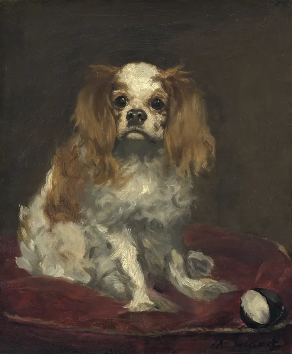 Framed Print : A King Charles Spaniel, by Edouard Manet, 1866, French painting, oil on linen (BSLOC_2016_5_99) Framed Print : A King Charles Spaniel, by Edouard Manet, 1866, French painting, oil on linen (BSLOC_2016_5_99)