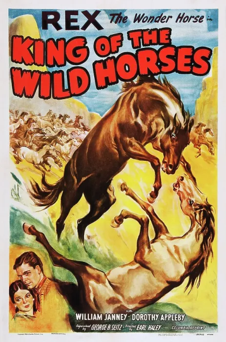 Framed Print : KING OF THE WILD HORSES, US poster art, from top: Rex the Wonder Horse, William Janney, Dorothy Appleby, 1933