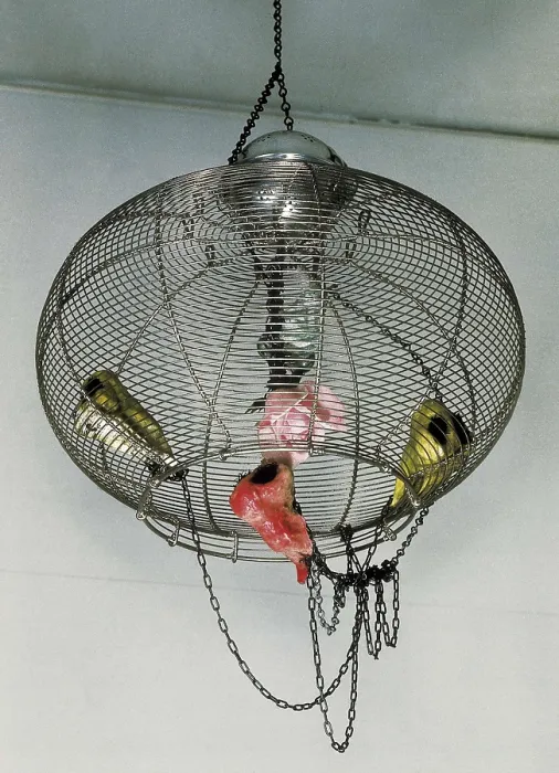 Framed Print : KUDO, Tetsumi (1935-1990). Composition. Fluxus. Sculpture. AISA / Everett Collection - Image has fine art copyright Framed Print : KUDO, Tetsumi (1935-1990). Composition. Fluxus. Sculpture. AISA / Everett Collection - Image has fine art copyright