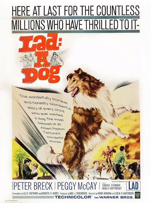 Framed Print : LAD: A DOG, US poster art, 1962 Framed Print : LAD: A DOG, US poster art, 1962