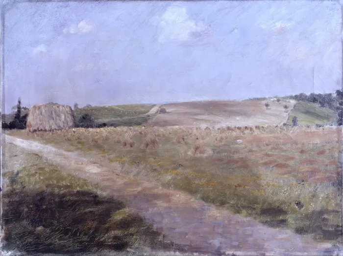 Framed Print : Landscape (Paesaggio), by Giuseppe De Nittis, 19th Century - Italy, Puglia, Barletta, Giuseppe De Nittis Collection. Whole artwork view. A little road trough the fields