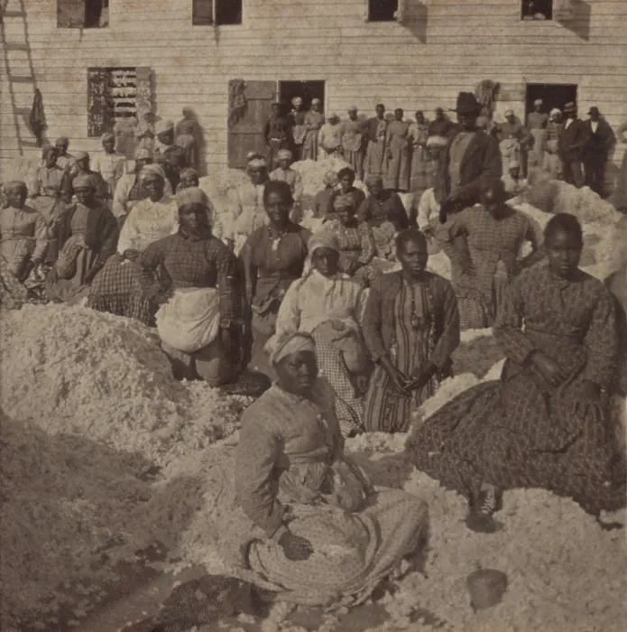 Framed Print : Large group of emancipated African Americans at a cotton gin on one of the Sea Islands in South Carolina, 1863-66