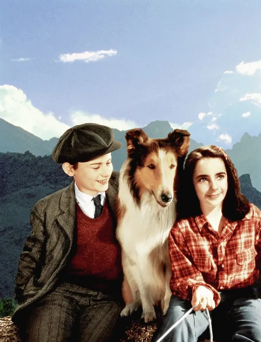 Framed Print : LASSIE COME HOME, Roddy McDowall, Lassie, Elizabeth Taylor, 1943