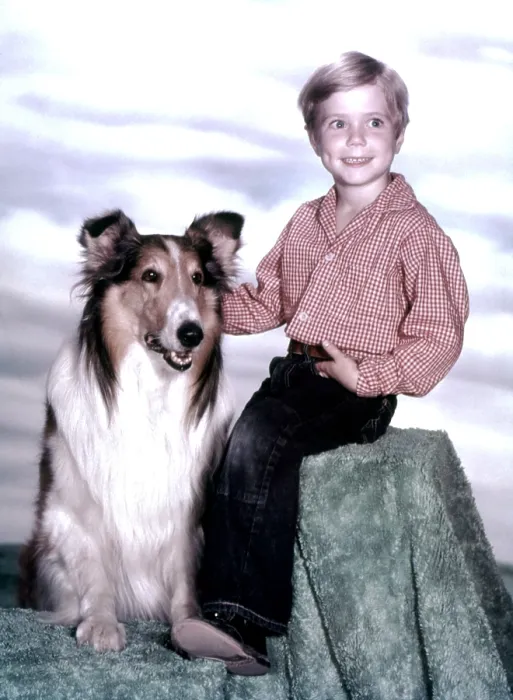 Framed Print : LASSIE, Jon Provost, with Lassie, (1959), 1954-74 Framed Print : LASSIE, Jon Provost, with Lassie, (1959), 1954-74