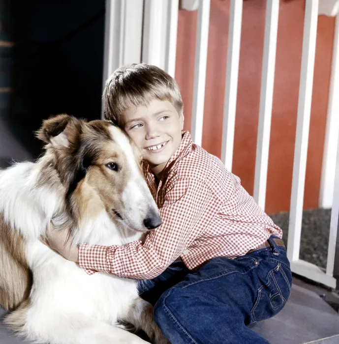 Framed Print : LASSIE, Jon Provost, with Lassie, (1959), 1954-74