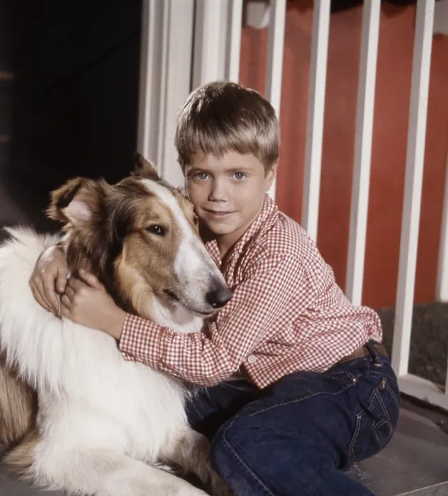 Framed Print : LASSIE, from left: Lassie, Jon Provost, (1959), 1954-74 Framed Print : LASSIE, from left: Lassie, Jon Provost, (1959), 1954-74