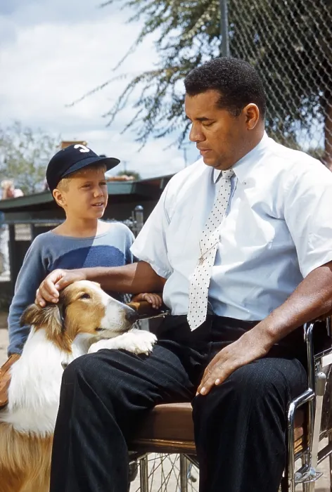 Framed Print : LASSIE, from left: Lassie, Jon Provost, Roy Campanella, The Mascot, season 6, ep. 4. aired 9 / 27 / 1959, 1954-1974