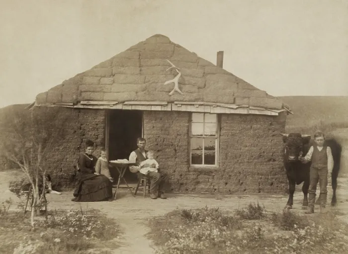 Framed Print : Laulerman family in front of their sod house, in Custer County, Nebraska, 1886. The couple pose seated with two children, while an older boy stands holding a bull