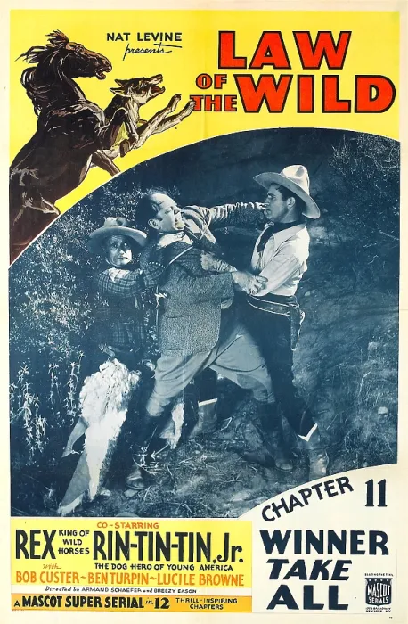 Framed Print : LAW OF THE WILD, top left: Rex, Rin Tin Tin, inset far right: Bob Custer in Chapter 11: Winner Take All, 1934