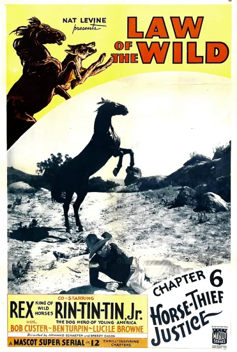 Framed Print : LAW OF THE WILD, top left: Rex, Rin Tin Tin, inset top: Rex in Chapter 6: Horse Thief Justice, 1934