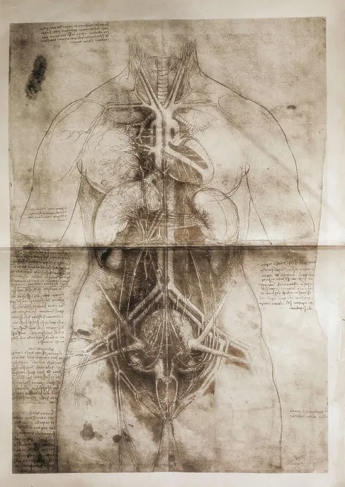 Framed Print : LEONARDO DA VINCI (1452-1519). Anatomical study. Drawing. AISA / Everett Collection**US SALES ONLY** Framed Print : LEONARDO DA VINCI (1452-1519). Anatomical study. Drawing. AISA / Everett Collection**US SALES ONLY**