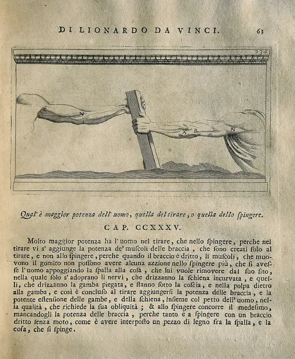 Framed Print : LEONARDO DA VINCI (1452-1519). 'Teatrise on Painting'. Edition printed in Naples by Francesco Ricciardo and Vincenzo and Nicola Rispoli (1733) Framed Print : LEONARDO DA VINCI (1452-1519). 'Teatrise on Painting'. Edition printed in Naples by Francesco Ricciardo and Vincenzo and Nicola Rispoli (1733)
