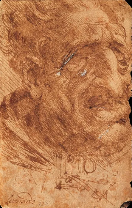 Framed Print : Leonardo da Vinci, Head of an Old Man and Sketches of a Mechanical Device, 1490 - 1499, 15th Century, pen and fine brush with sepia, color ink, watercolor, Italy, Veneto, Venice