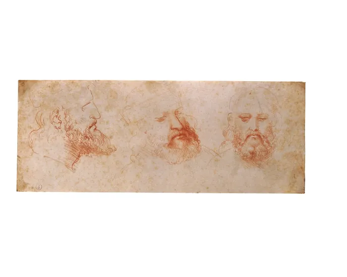 Framed Print : Leonardo da Vinci, Profile, three-quarter and frontal study of a male head, possibly a portrait of Cesare Borgia, 1502, 16th Century, sanguine on yellowed white paper, Italy