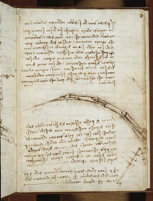 Framed Print : (Leonardo da Vincis) Codex on the Flight of Birds, by Leonardo da Vinci, 16th Century, 1505 -1506 about, paper manuscript, mm 213 x 153 - Italy, Piemonte, Turin, Royal Library