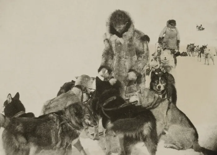 Framed Print : Leonhard Seppala and his dog-team, were the heroes of the great mush to Nome in 1925 Framed Print : Leonhard Seppala and his dog-team, were the heroes of the great mush to Nome in 1925