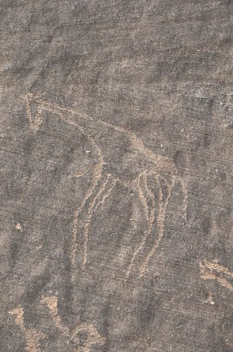 Framed Print : LIBYA. Tadrart Acacus. Carving on the rock depicting a giraffe (12.000-8000 BC). Neolithic art. Petroglyph. - Vannini / Iberfoto / Everett Collection (248253)**US SALES ONLY** Framed Print : LIBYA. Tadrart Acacus. Carving on the rock depicting a giraffe (12.000-8000 BC). Neolithic art. Petroglyph. - Vannini / Iberfoto / Everett Collection (248253)**US SALES ONLY**