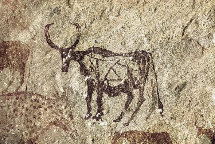 Framed Print : LIBYA. Tadrart Acacus. Cervid figure. Neolithic art. Cave. AISA / Everett Collection**US SALES ONLY**