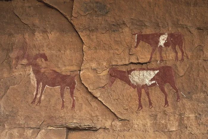 Framed Print : LIBYA. Tadrart Acacus. Representation of cattle: ram and cows (c.1500 BC). Neolithic art. Cave. AISA / Everett Collection**US SALES ONLY** Framed Print : LIBYA. Tadrart Acacus. Representation of cattle: ram and cows (c.1500 BC). Neolithic art. Cave. AISA / Everett Collection**US SALES ONLY**