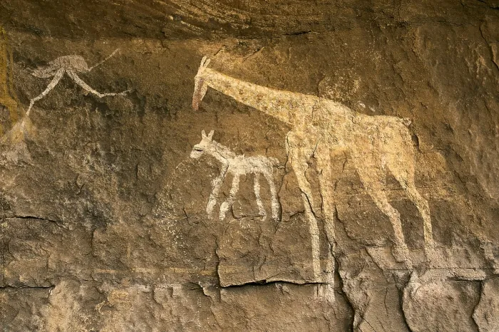 Framed Print : LIBYA. Tadrart Acacus. Representation of giraffes (12.000-8000 BC). Neolithic art. Cave. - Vannini / Iberfoto / Everett Collection (296043)**US SALES ONLY**