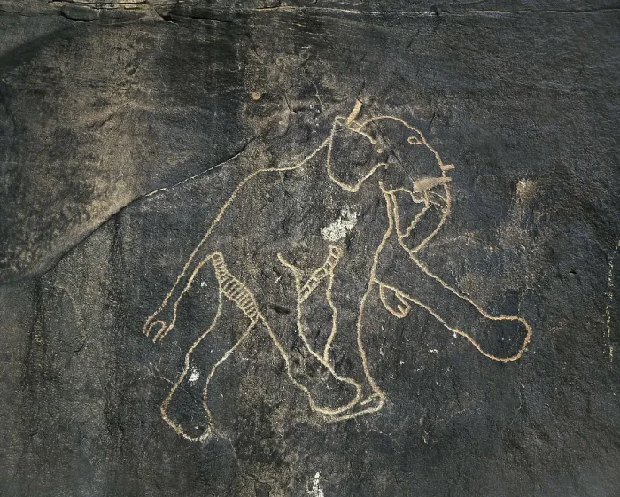 Framed Print : LIBYA. Tadrart Acacus. Rupestrian carving with representation of elephant on the rock of Wadi Matendous (12.000-8000 BC). Neolithic art. Petroglyph