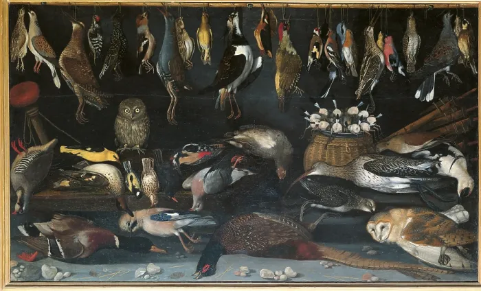 Framed Print : Still Life with Birds, by Master of Hartford, 1590 - 1600, 16th Century, oil on canvas, cm 103, 5 x 173 - Italy, Lazio, Rome, Borghese Gallery. All Framed Print : Still Life with Birds, by Master of Hartford, 1590 - 1600, 16th Century, oil on canvas, cm 103, 5 x 173 - Italy, Lazio, Rome, Borghese Gallery. All