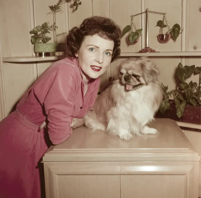 Framed Print : LIFE WITH ELIZABETH, from left: Betty White, Bandy (namesake of Bandy Productions), on-set, (1954), 1952-55 Framed Print : LIFE WITH ELIZABETH, from left: Betty White, Bandy (namesake of Bandy Productions), on-set, (1954), 1952-55