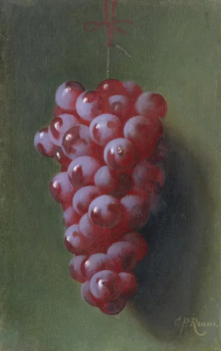 Framed Print : STILL LIFE WITH GRAPES, by Carducius Plantagenet Ream, c. 1870-90, American painting, oil on canvas Framed Print : STILL LIFE WITH GRAPES, by Carducius Plantagenet Ream, c. 1870-90, American painting, oil on canvas