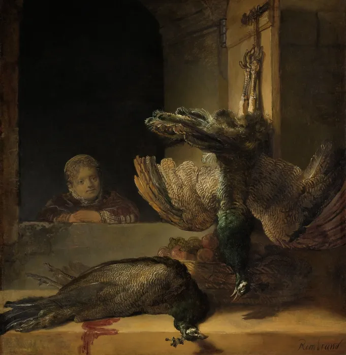 Framed Print : Still Life with Peacocks, by Rembrandt van Rijn, 1639, Dutch painting, oil on canvas. A girl looks at two dead peacocks. from a window Framed Print : Still Life with Peacocks, by Rembrandt van Rijn, 1639, Dutch painting, oil on canvas. A girl looks at two dead peacocks. from a window